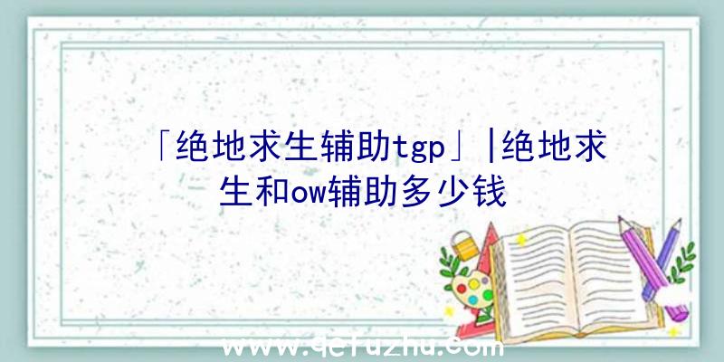 「绝地求生辅助tgp」|绝地求生和ow辅助多少钱